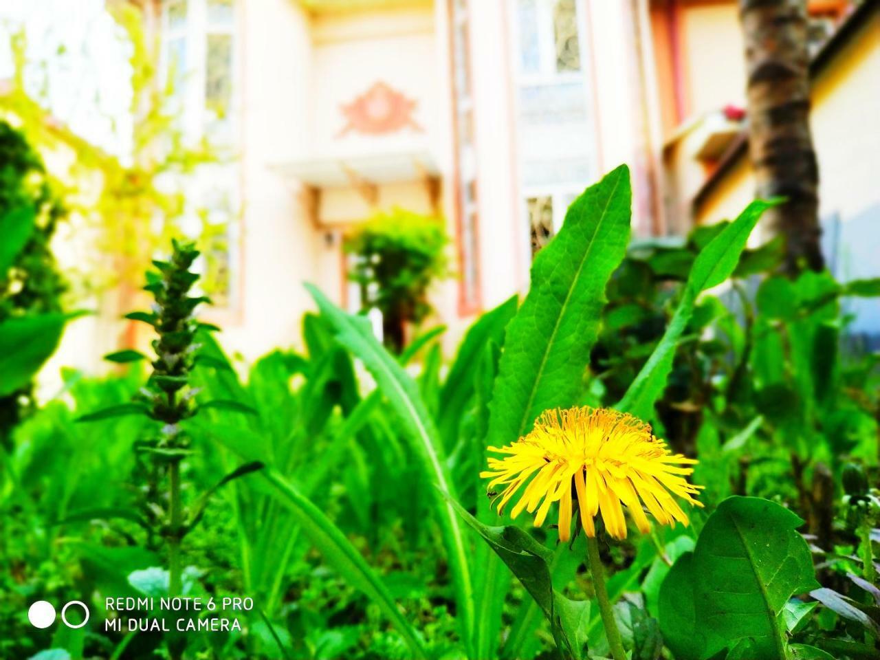 Rakat Inn Navigator Taschkent Exterior foto