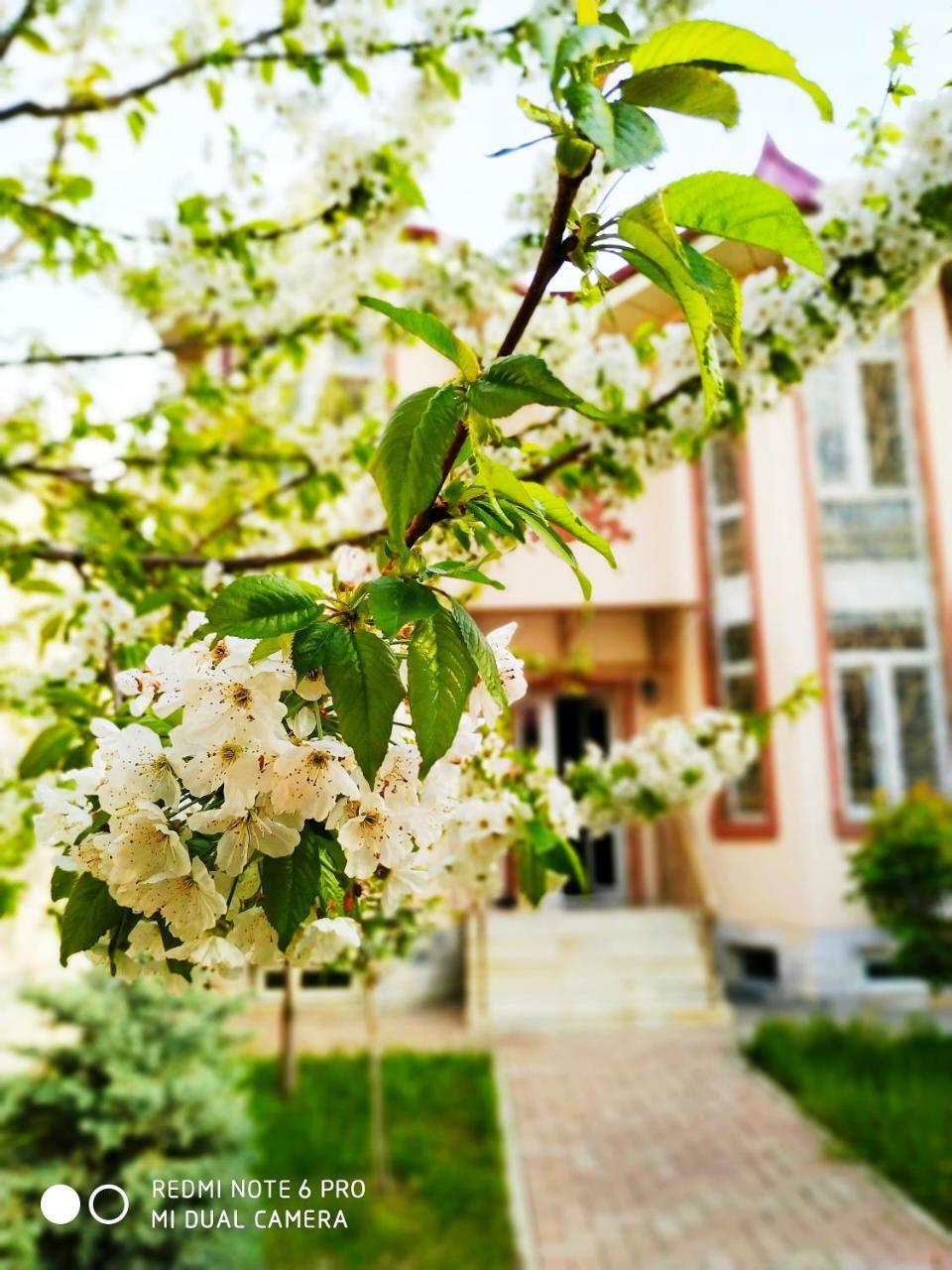 Rakat Inn Navigator Taschkent Exterior foto